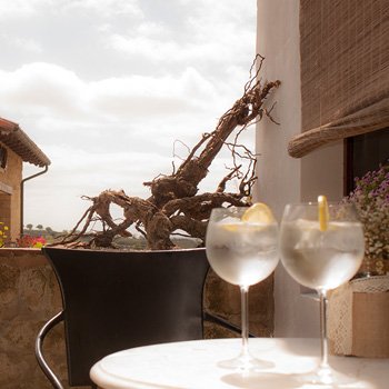 sajazarra-ochavo-restaurante-haro-rioja
